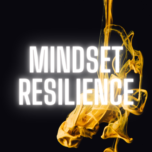 business coaching mindset resilience  sabrina godi hitschler